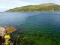 ���� ��� �������� �����: ������� �����