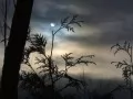 ����