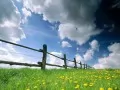 ���������. Baden-Werttemberg in Spring
