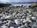 ���� ��� �������� �����: �������� �����