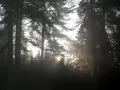 ���� � ����