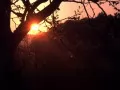 ����� ���