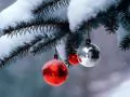 ���� ��� �������� �����: �������� ������� �� �����