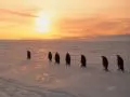 �� ����� ������ ��������