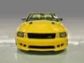 Ƹ���� Saleen �� ����� ����