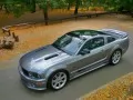 Saleen S281-Scenic-Roof