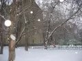 ������. � ���� ����...