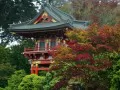 ����������, ���-���������. Temple Gate