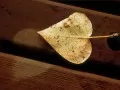 ��������� ������