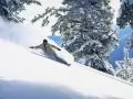 ���� ��� �������� �����: ��� ���� ����