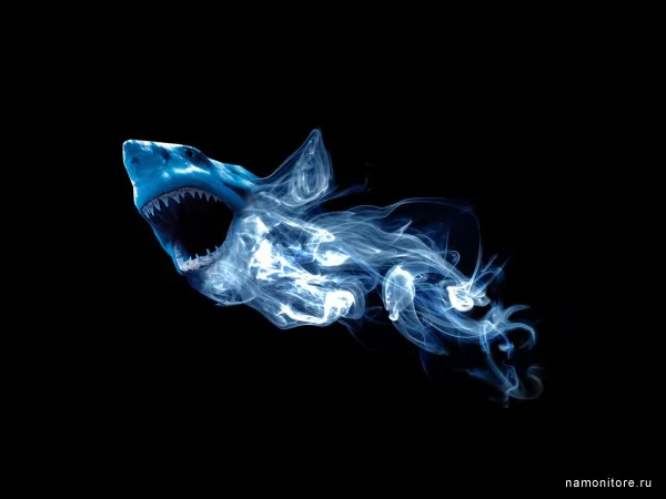 Shark, 3D