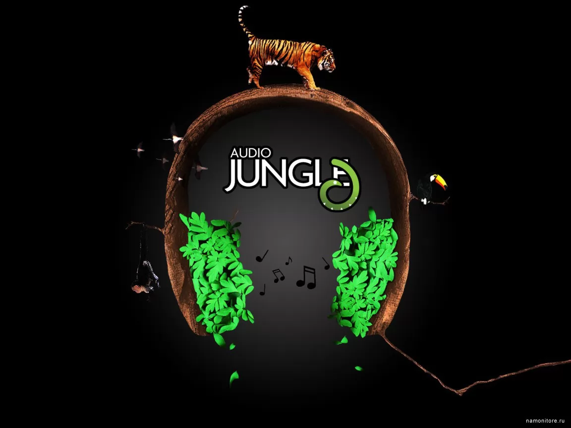 Audio Jungle, ,  