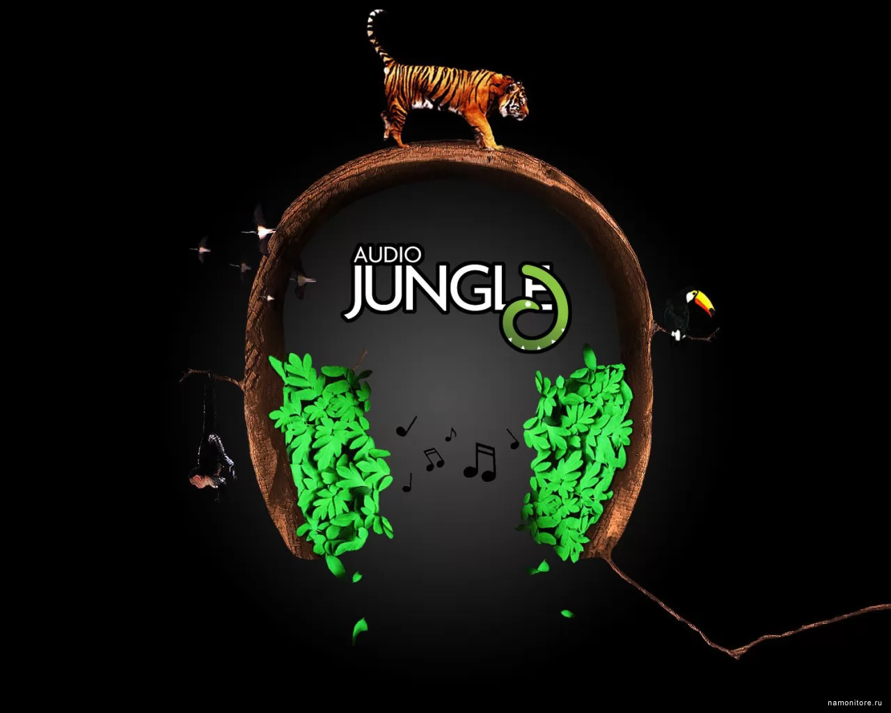 Audio Jungle, ,  