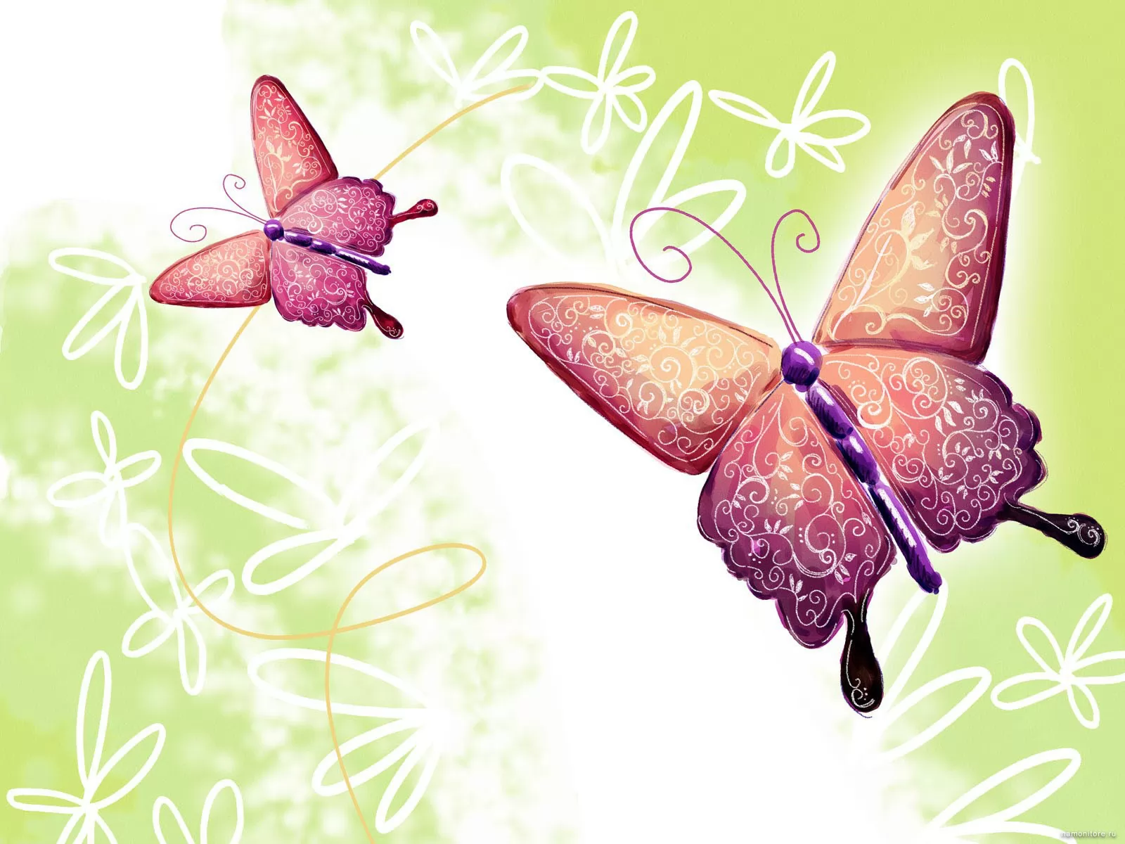 Дика йойла. Открытка бабочка. С днем рождения бабочки. Открытки с днём рождения с бабочками. Фон для открытки с бабочками.