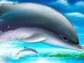 open picture: «Dolphins»