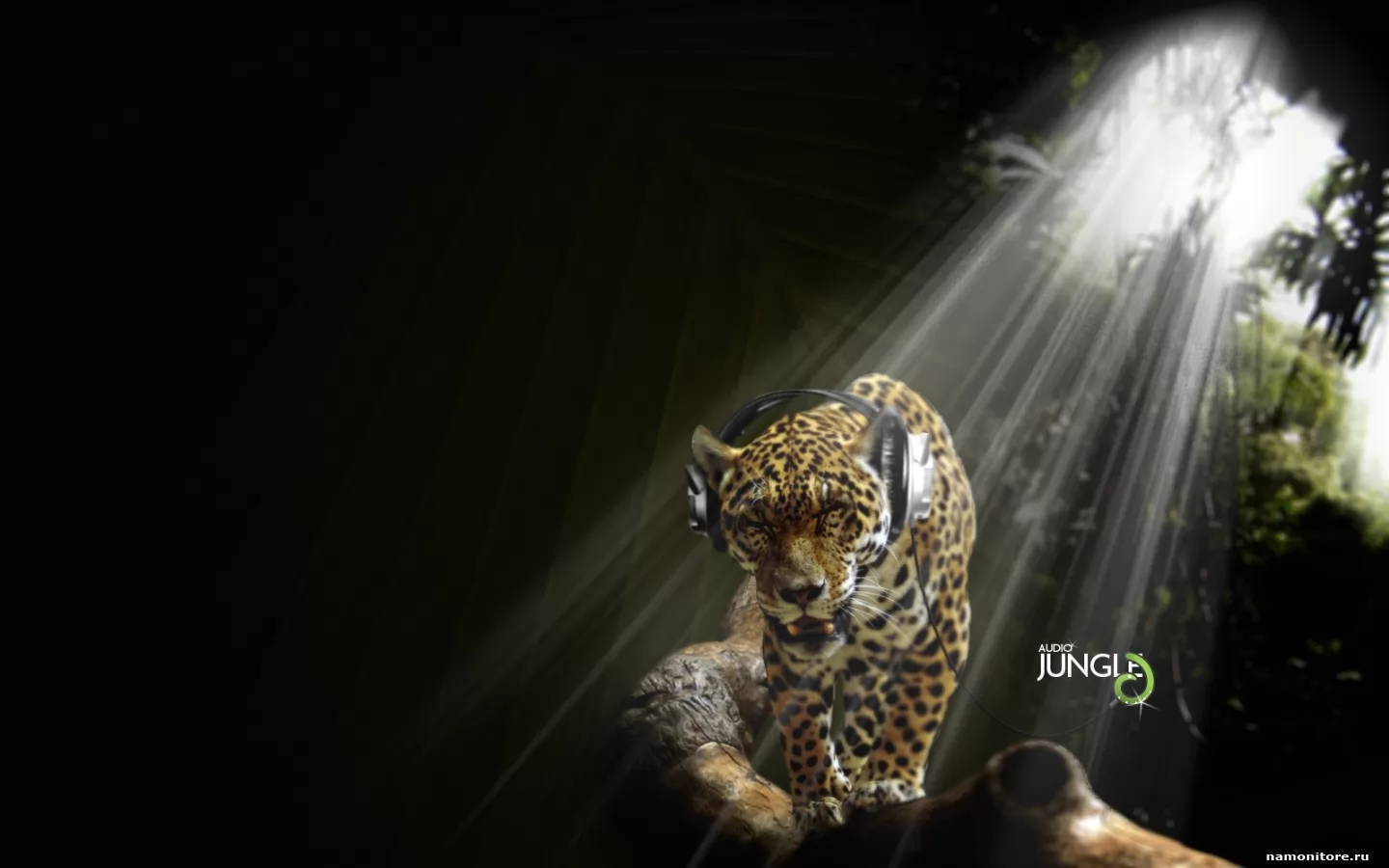 Jungle, animals, black, cats, drawed, leopards x