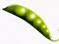 open picture: «Peas»