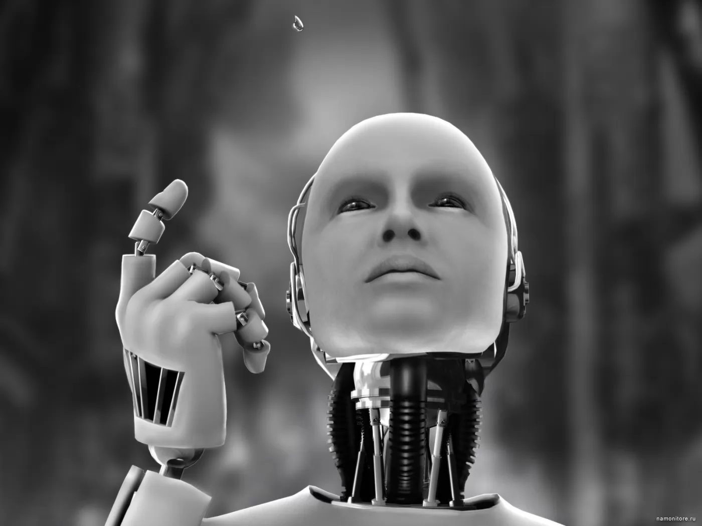 , 3D, , , , - 
