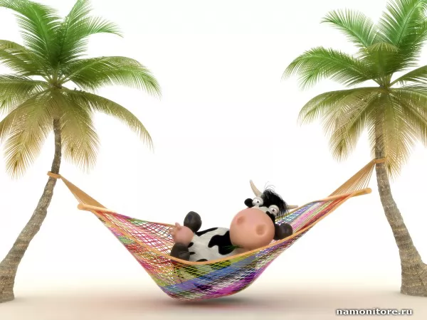 Cow in a hammock, 3D