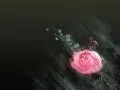Legacy of life