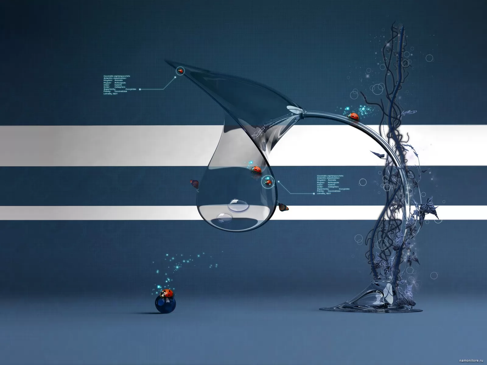   , 3D,  , ,  