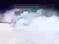 Bear in clouds