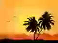 On island