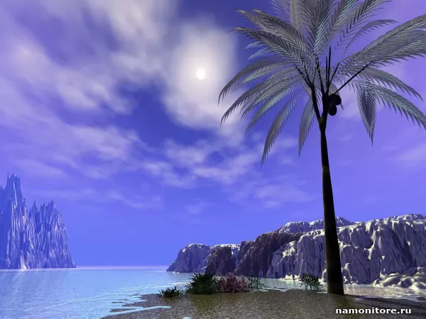 The Lonely palm tree, 3D