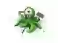 The Octopus