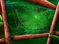 open picture: Spider