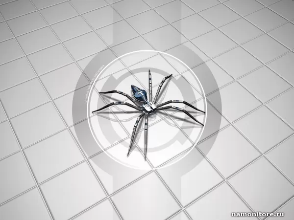 The Spider under a sight, 3D