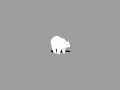 current picture: «The Polar bear»