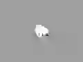 The Polar bear