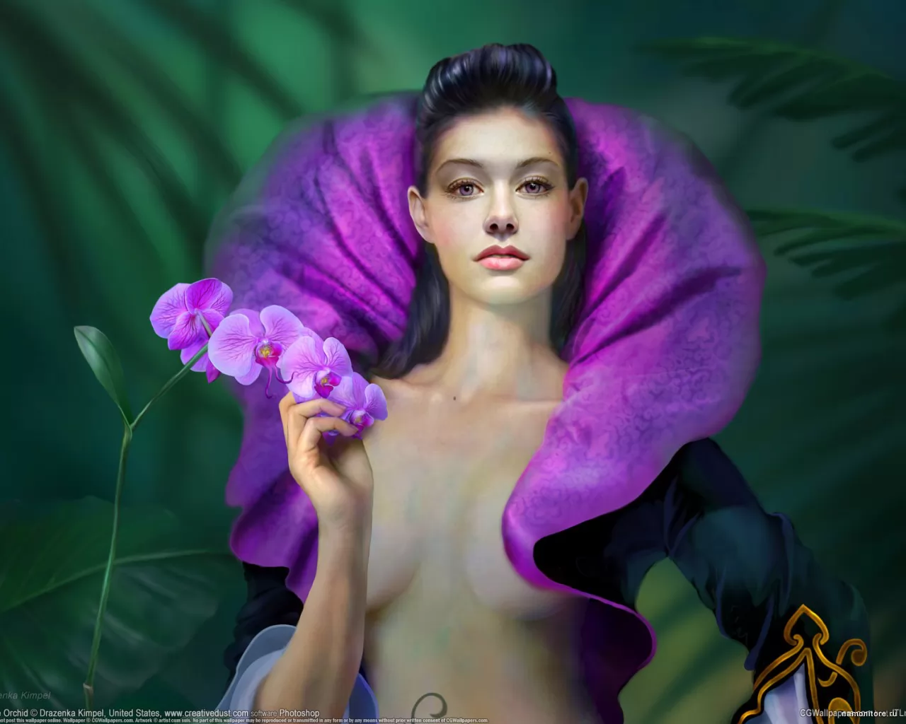 Purple Orchid, Drazenka Kimpel, 3D, девушки, зеленое, рисованное х