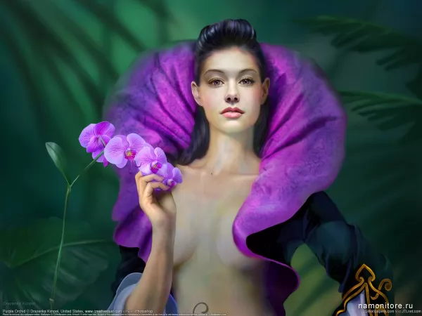 Purple Orchid, Drazenka Kimpel, 3d-графика