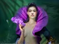 выбранное изображение: «Purple Orchid, Drazenka Kimpel»
