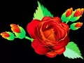 open picture: Rose