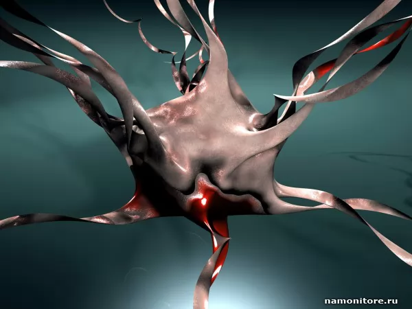 Spawn, 3d-