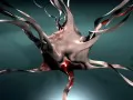  : Spawn