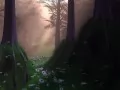 open picture: Mysterious wood