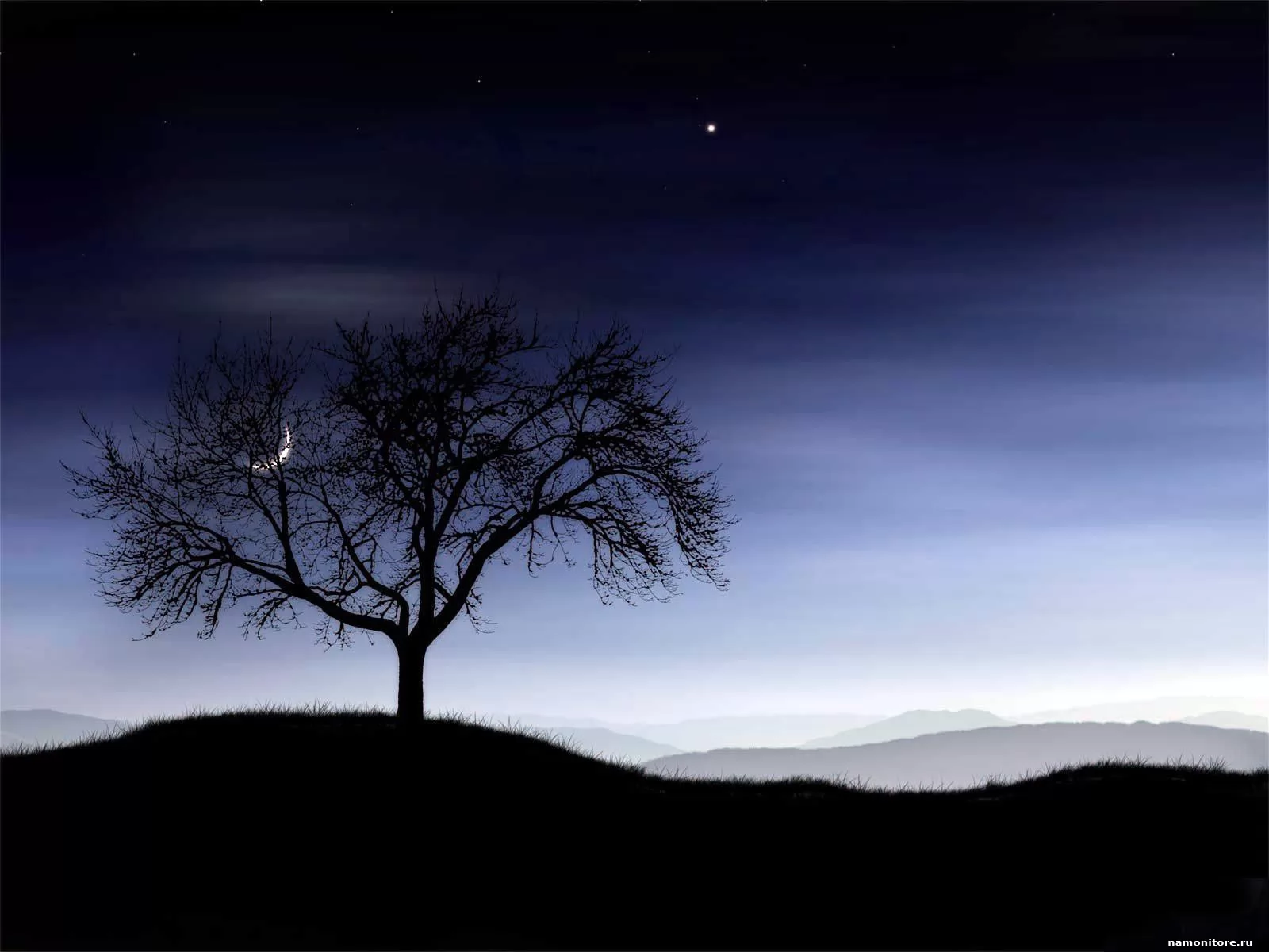 Tree and Moon, , , ,  