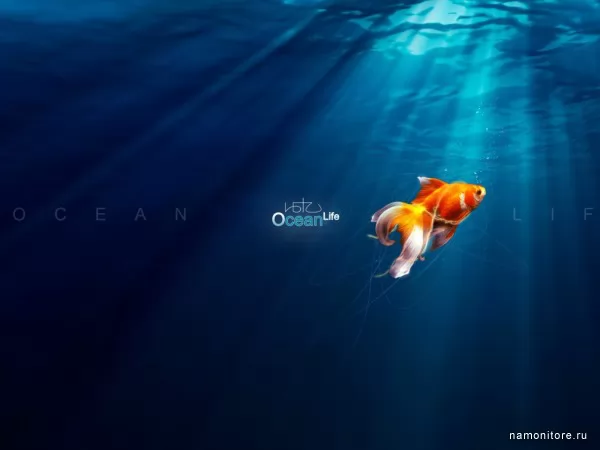 В океане, 3d-графика