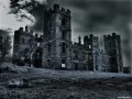 выбранное изображение: «Замок»