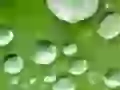 Green drops