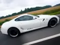    : Ferrari 599 EGO