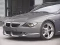The Muzzle grey Ac Schnitzer Bmw-Acs6