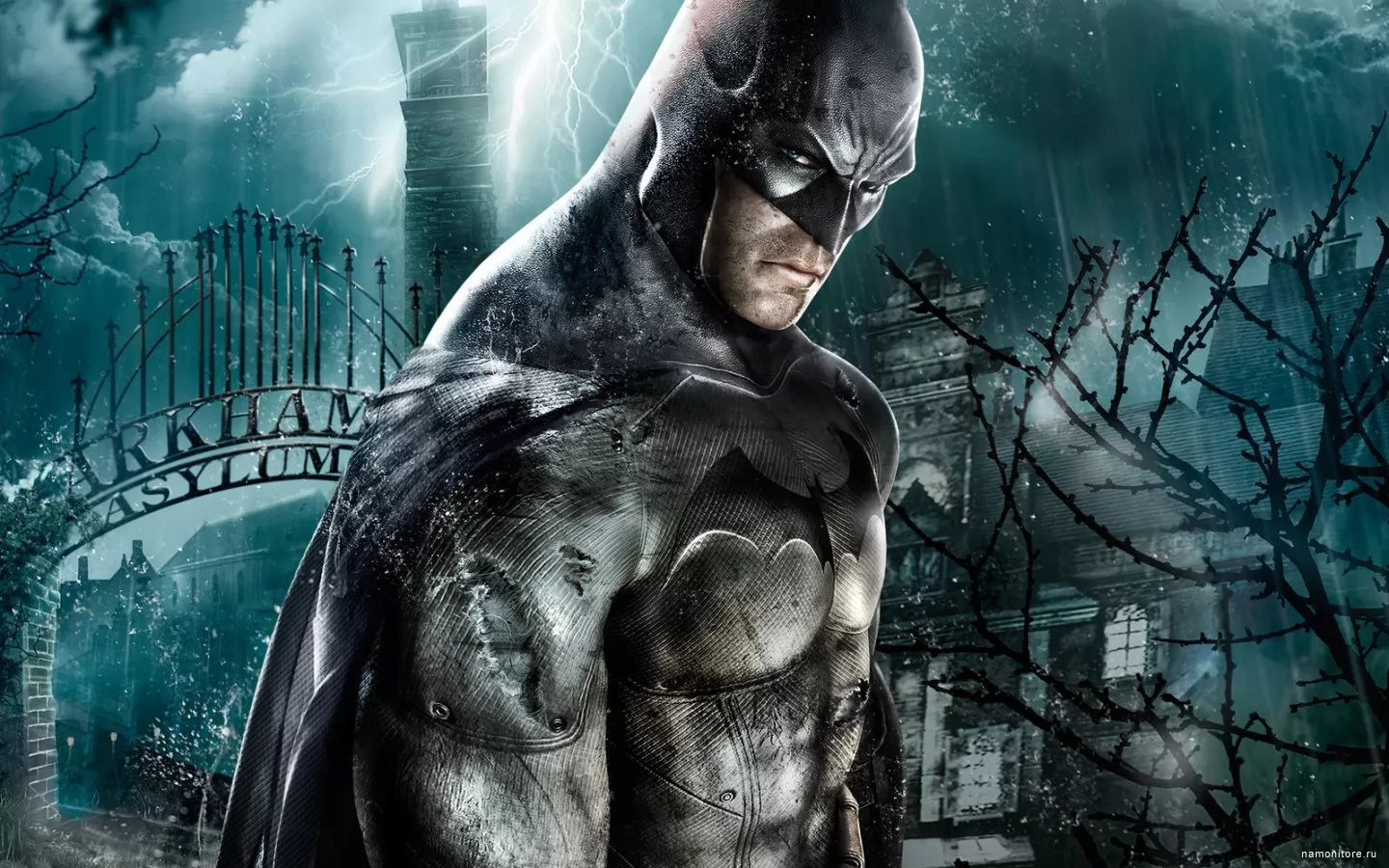 Batman: Arkham Asylum,  , ,  