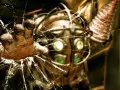    : BioShock