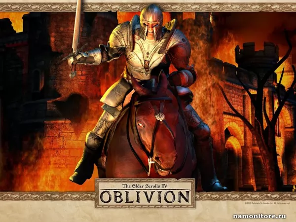 Elder Scrolls 4: Oblivion, Action