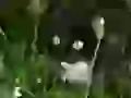 These eyes on against